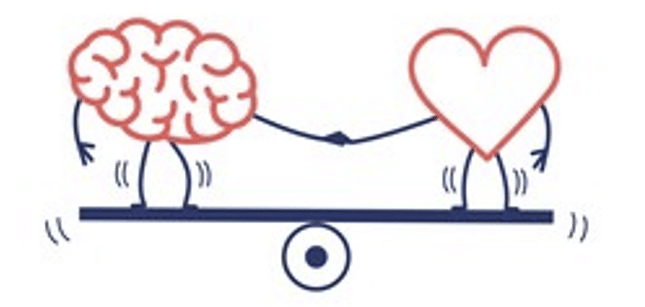 Une balance avec un cerveau à gauche et un coeur à droite